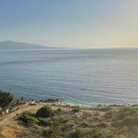 Sina * Sarande
